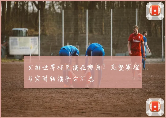 女排世界杯直播在哪看？完整赛程与实时转播平台汇总