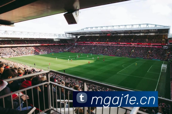 星空网官方网站入口服务体系